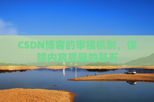 CSDN博客的审核机制,保障内容质量的基石